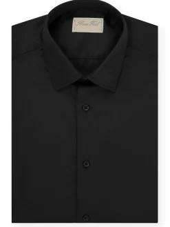 Chemise Alexian coupe classique pur coton Palma