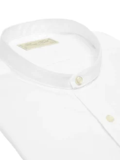Chemise Charles cintrée col Mao pur coton Palma