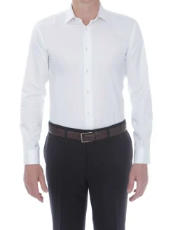 Chemise Dan coupe très cintrée pur coton Palma