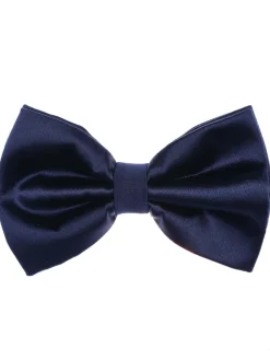 Noeud papillon pure soie
