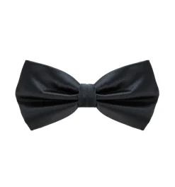 Noeud papillon pure soie