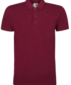 Polo Piqué Lucien 100% coton
