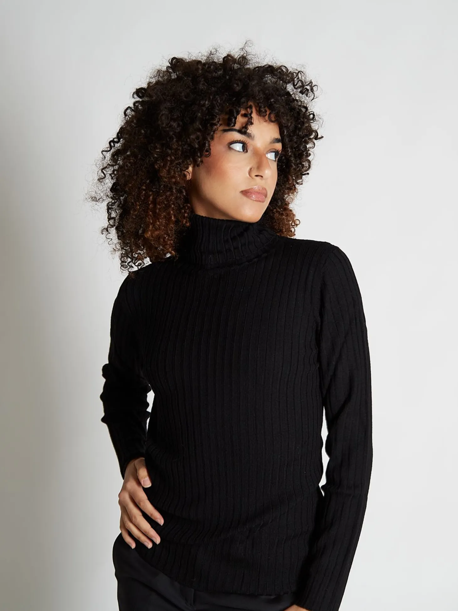 Pull pure laine mérinos col roulé côtelé Veronika